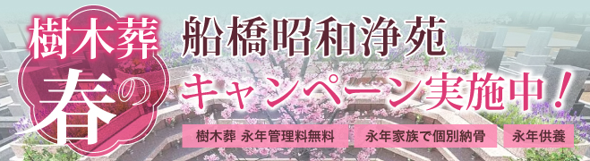 樹木葬春のキャンペーン