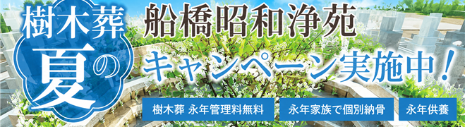 樹木葬夏のキャンペーン
